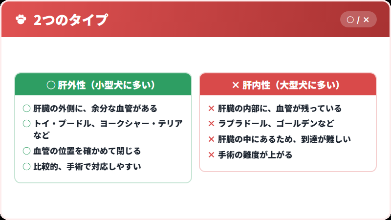 体格によるタイプの違い