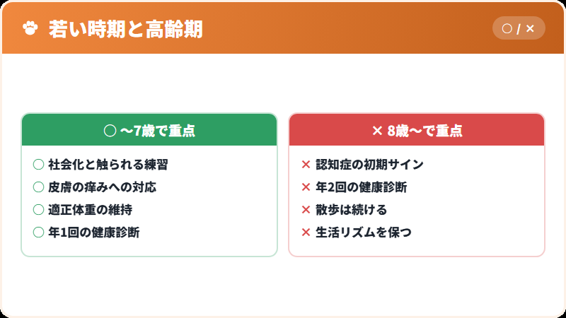 年齢ごとに気をつけたいこと