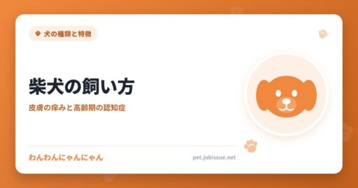 柴犬の飼い方