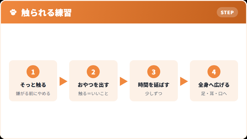 子犬期に慣らしておきたいこと