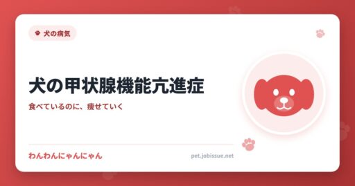 犬の甲状腺機能亢進症