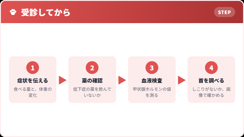 調べていく道すじ