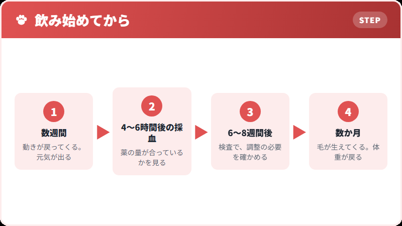 治療を始めてからの流れ