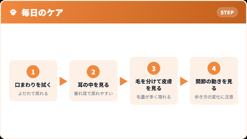 毎日の手入れで見る場所