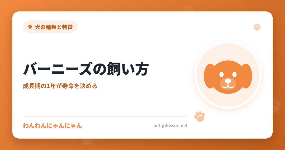 バーニーズの飼い方