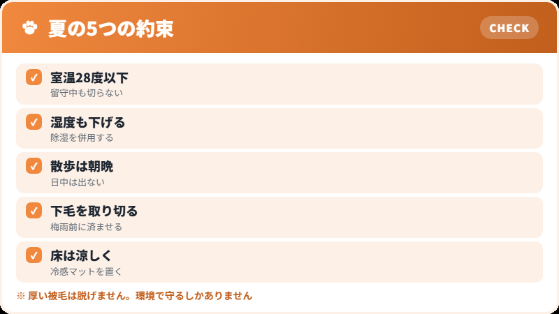夏に守りたいこと