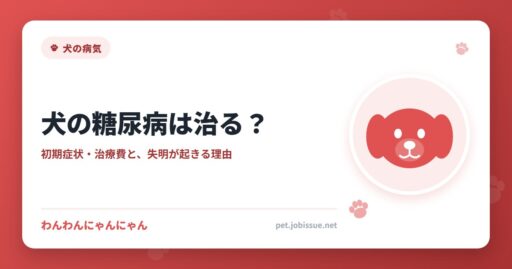 犬の糖尿病は治る？