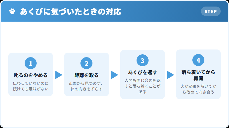 犬があくびをしたときの正しい対応と間違った対応