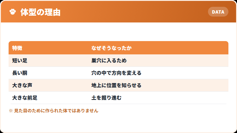ダックスフンドが作られた目的