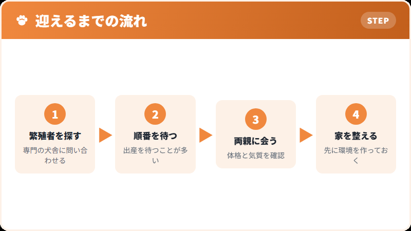日本で見かけない理由