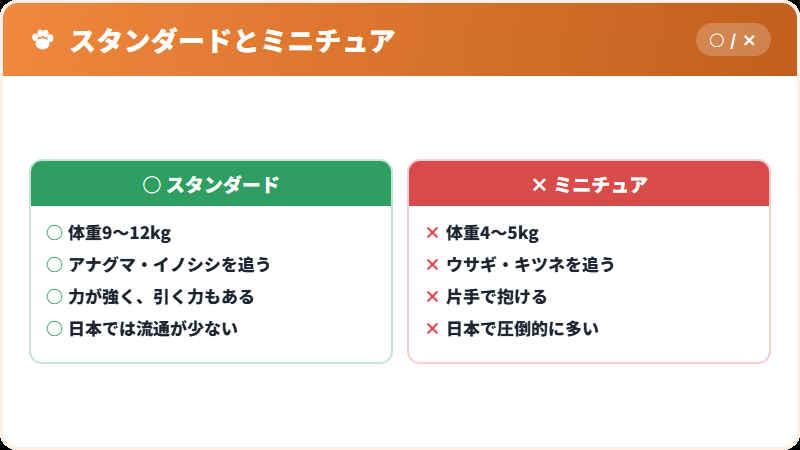 3サイズの体格と用途の違い
