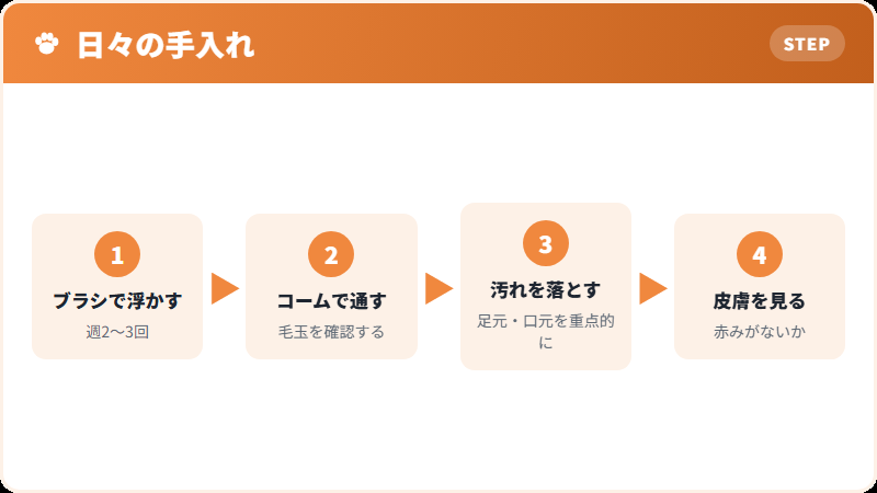 日々の手入れの流れ