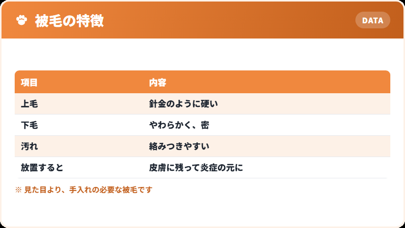 硬い被毛の構造