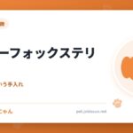 ワイアーフォックステリア