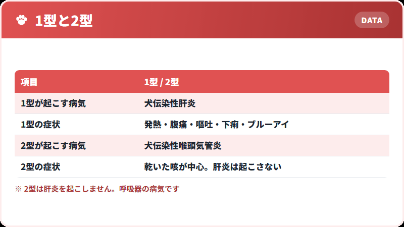 アデノウイルス1型と2型の違い