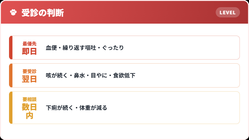 受診の目安
