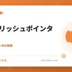 イングリッシュポインター