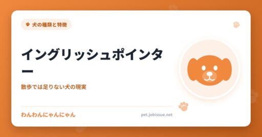 イングリッシュポインター