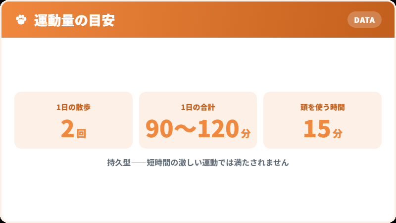 必要な運動量