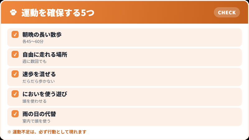 運動をどう確保するか