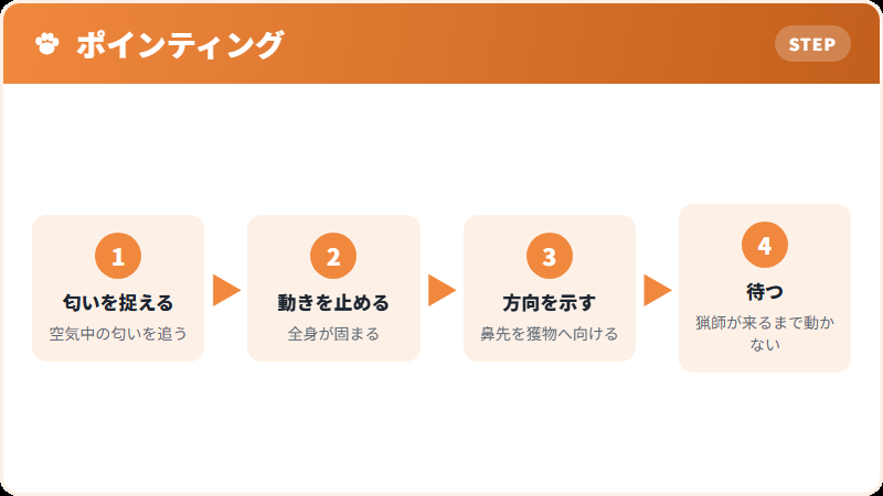 ポインティングという行動
