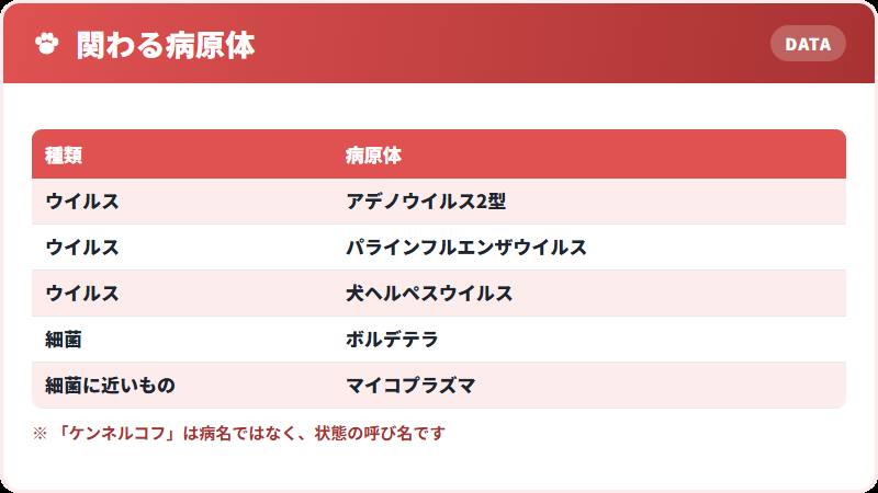 ケンネルコフの原因となる病原体