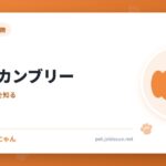 アメリカンブリー