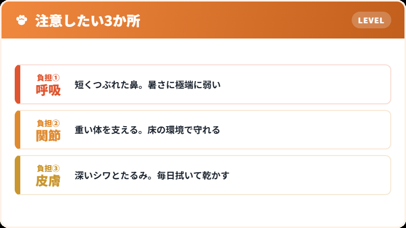 体格がもたらす3つの負担