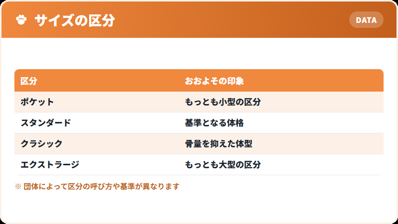 サイズ区分の目安