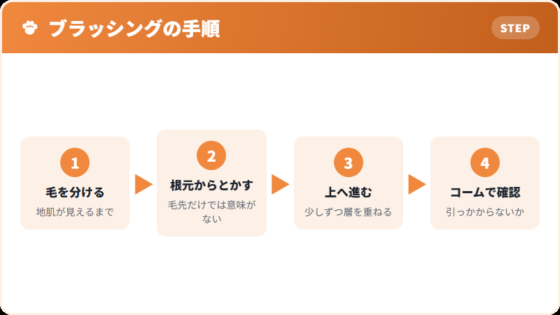 毎日のブラッシングの進め方