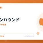 アフガンハウンド