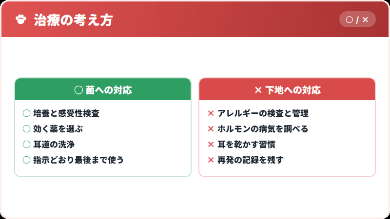 治療の2本立て
