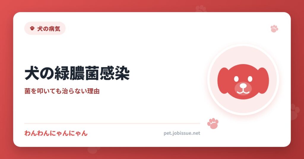 犬の緑膿菌感染