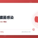 犬の緑膿菌感染