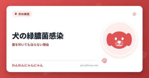 犬の緑膿菌感染