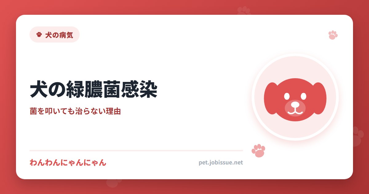 犬の緑膿菌感染