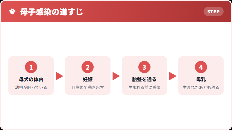 母から子へ移る経路