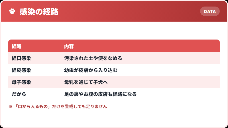 3つの感染経路