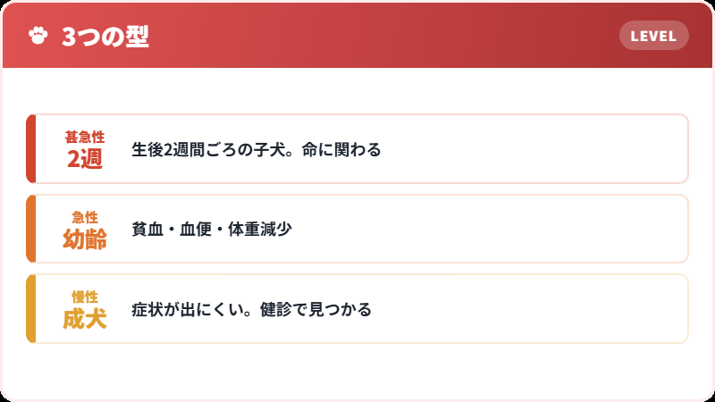 年齢による3つの型