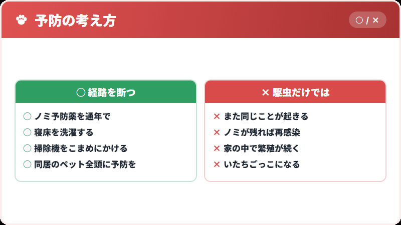 ノミ対策が予防になる