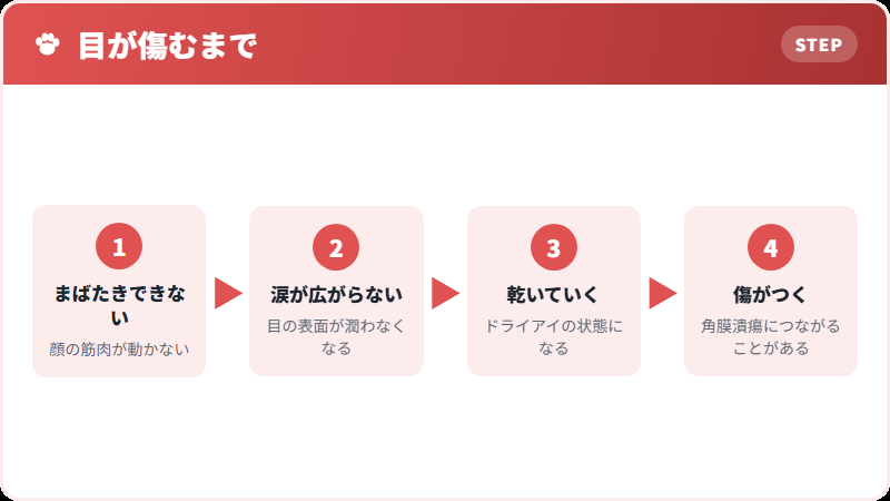 まばたきできないと起きること