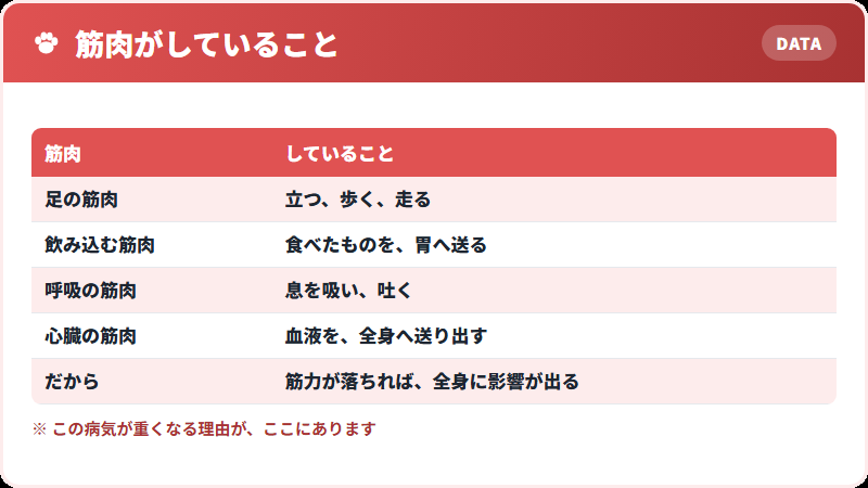 筋肉の役割