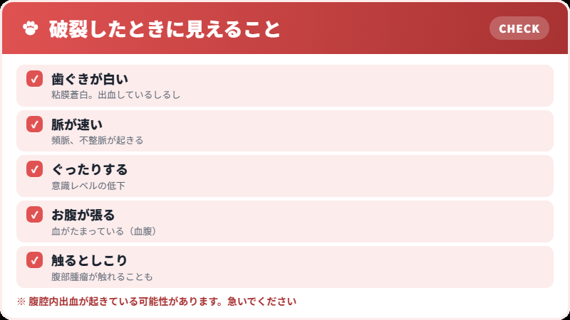 破裂したときのサイン
