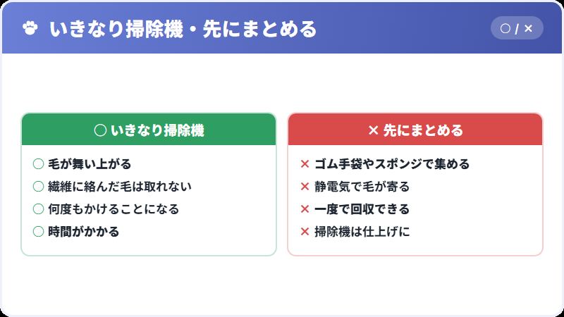 抜け毛の掃除のコツ
