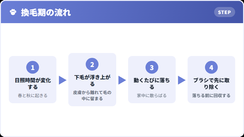 換毛期に毛が抜ける仕組み