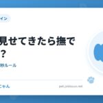 お腹を見せてきたら撫でていい？
