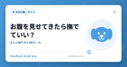 お腹を見せてきたら撫でていい？