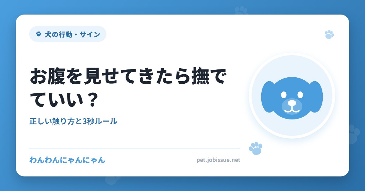 お腹を見せてきたら撫でていい？