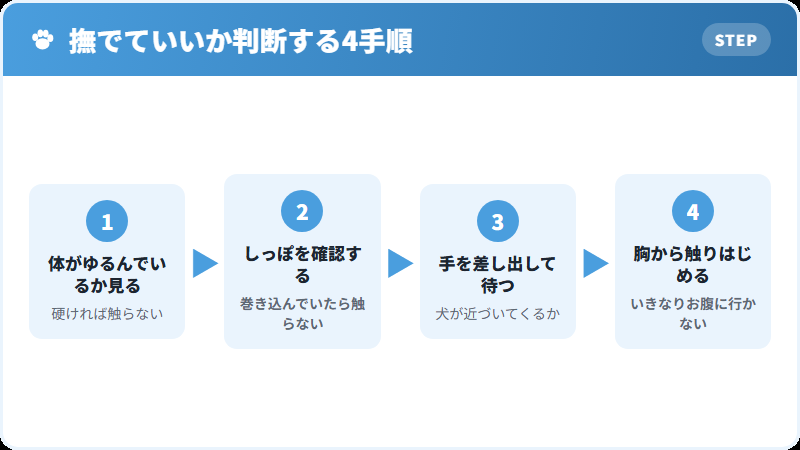 お腹を見せた犬を撫でていいか判断する手順