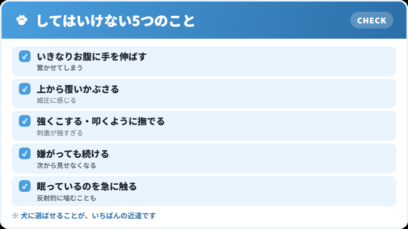 お腹を撫でるときにしてはいけないこと